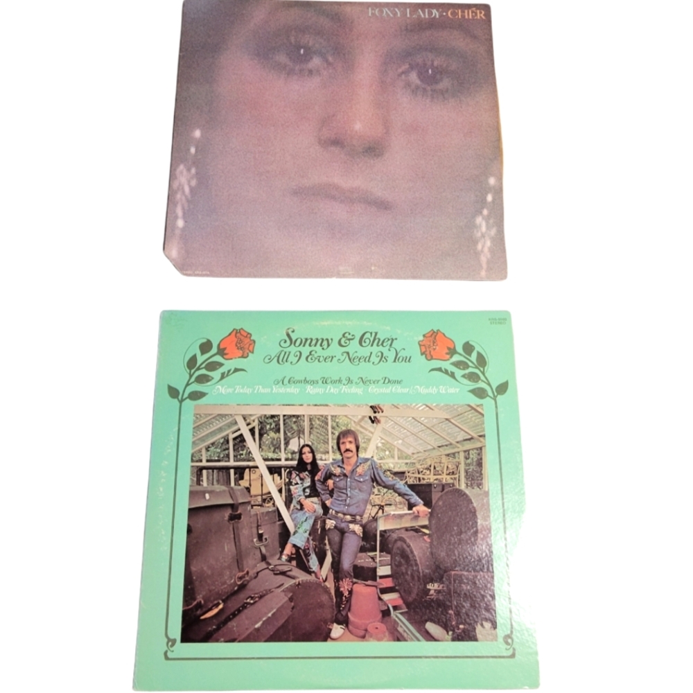 Sonny & Cher/Vinyl albums